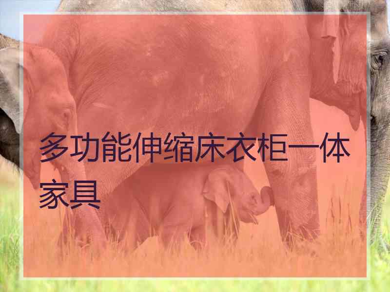 多功能伸缩床衣柜一体家具