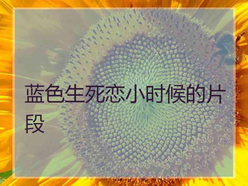 蓝色生死恋小时候的片段