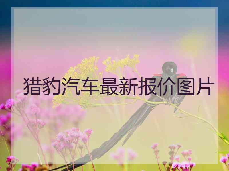 猎豹汽车最新报价图片
