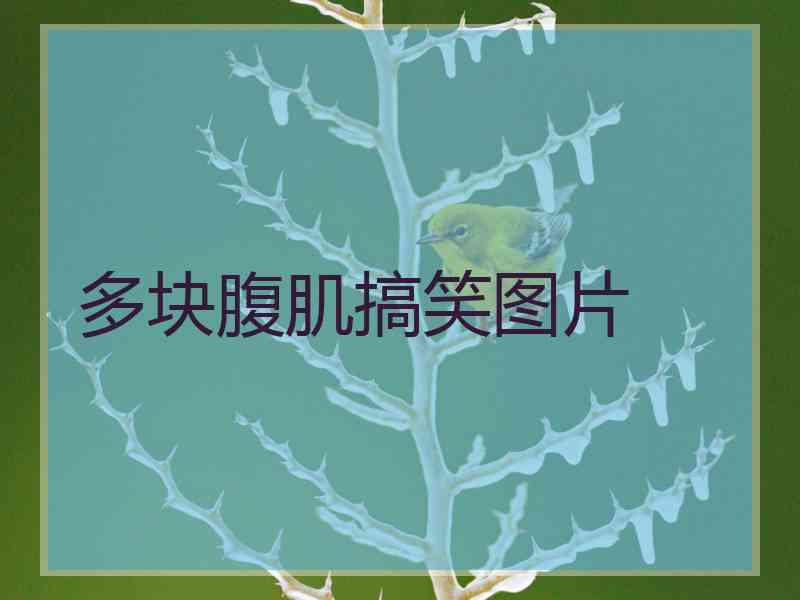 多块腹肌搞笑图片