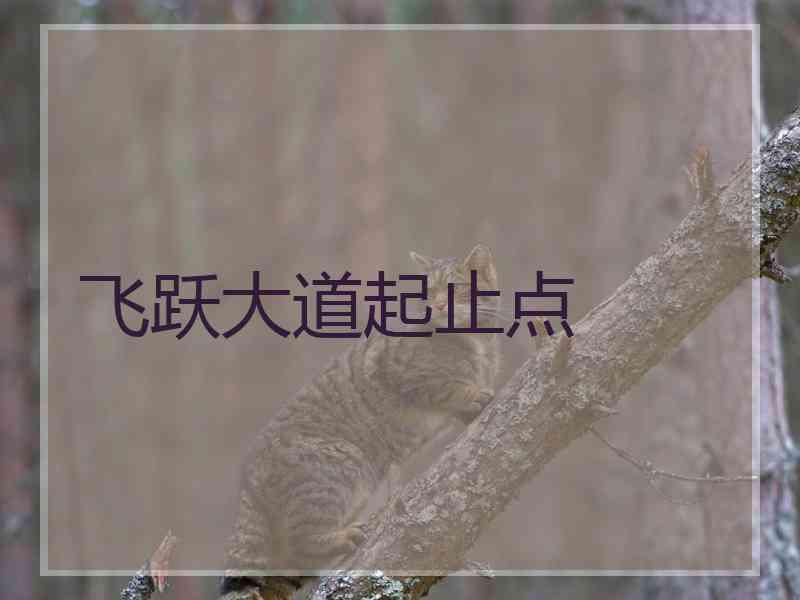 飞跃大道起止点