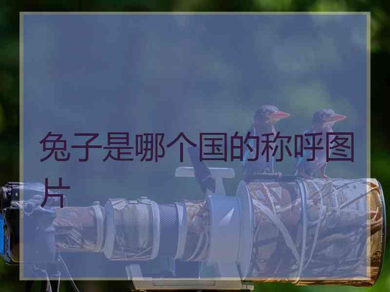 兔子是哪个国的称呼图片