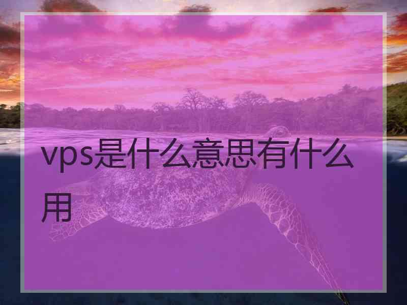 vps是什么意思有什么用