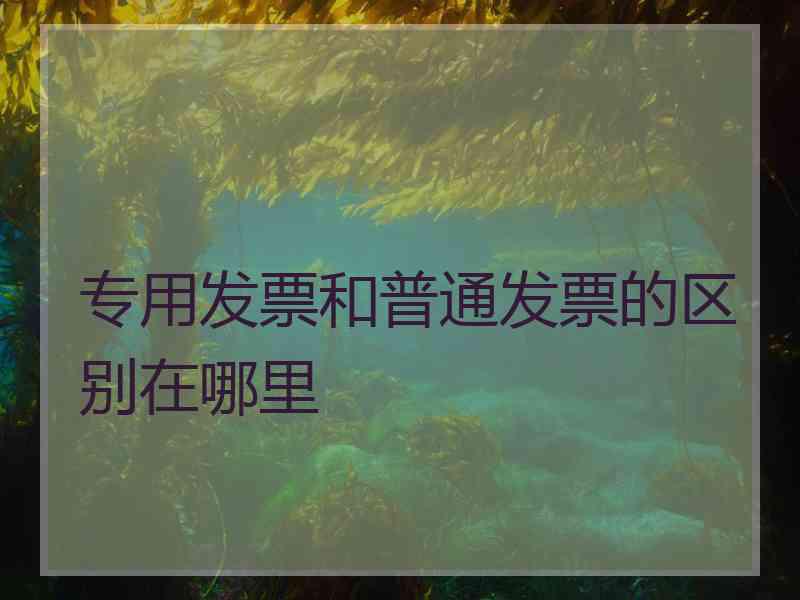 专用发票和普通发票的区别在哪里