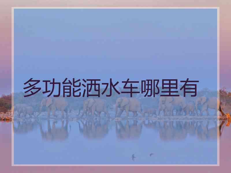 多功能洒水车哪里有