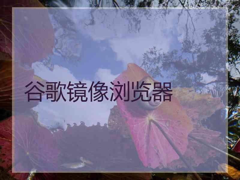 谷歌镜像浏览器