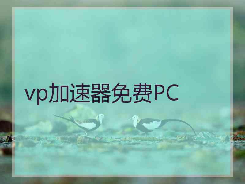 vp加速器免费PC