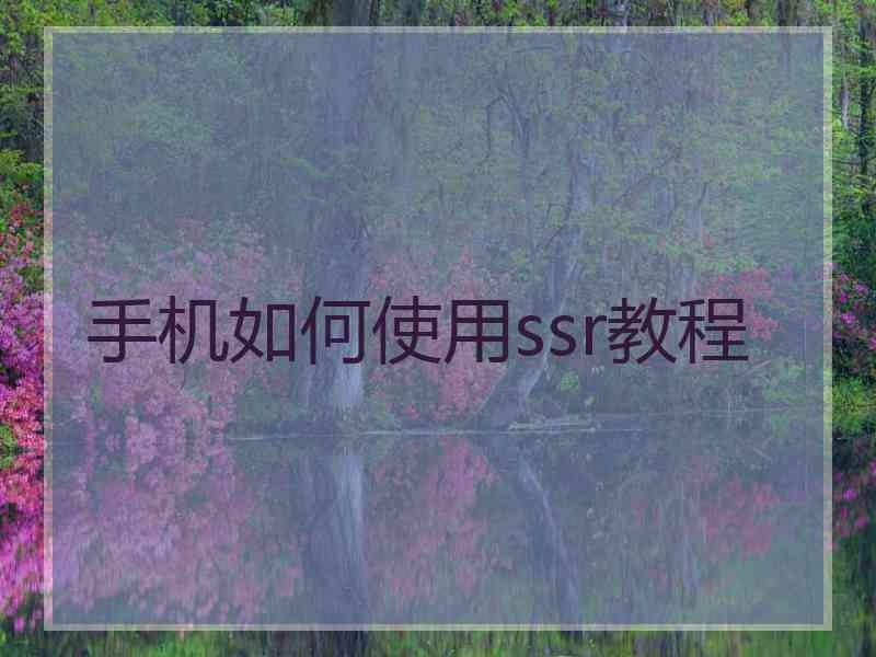 手机如何使用ssr教程
