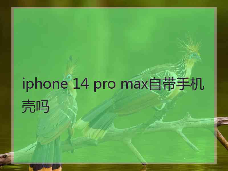 iphone 14 pro max自带手机壳吗