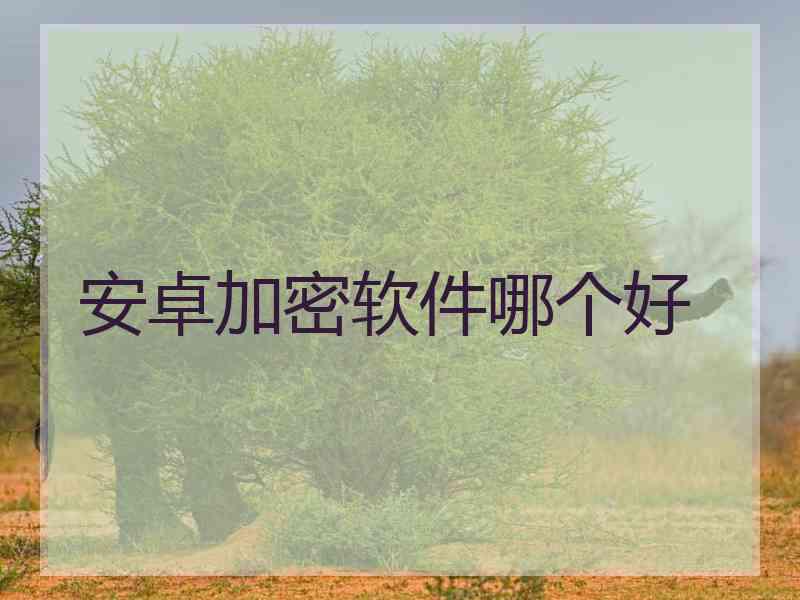 安卓加密软件哪个好