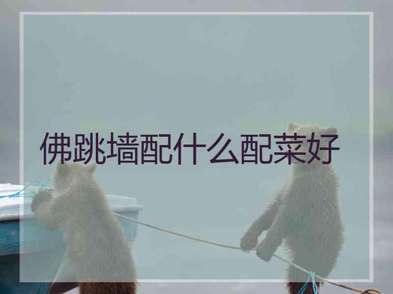 佛跳墙配什么配菜好