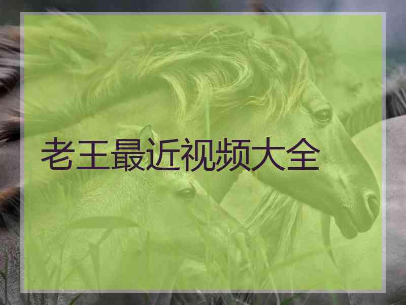 老王最近视频大全