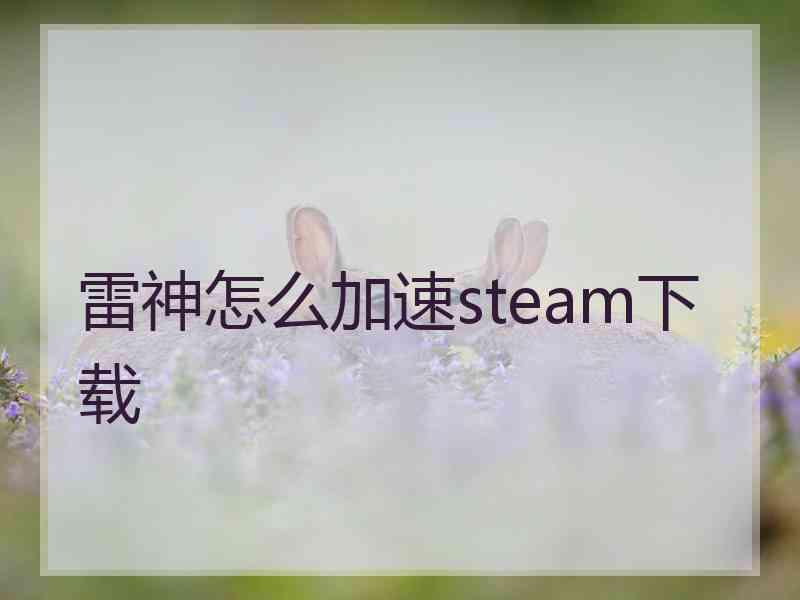 雷神怎么加速steam下载