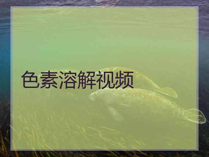 色素溶解视频