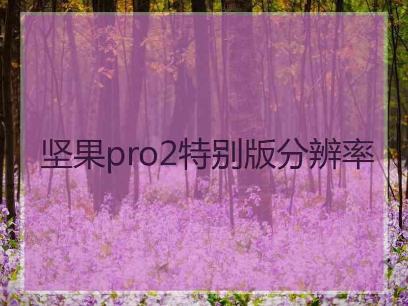 坚果pro2特别版分辨率