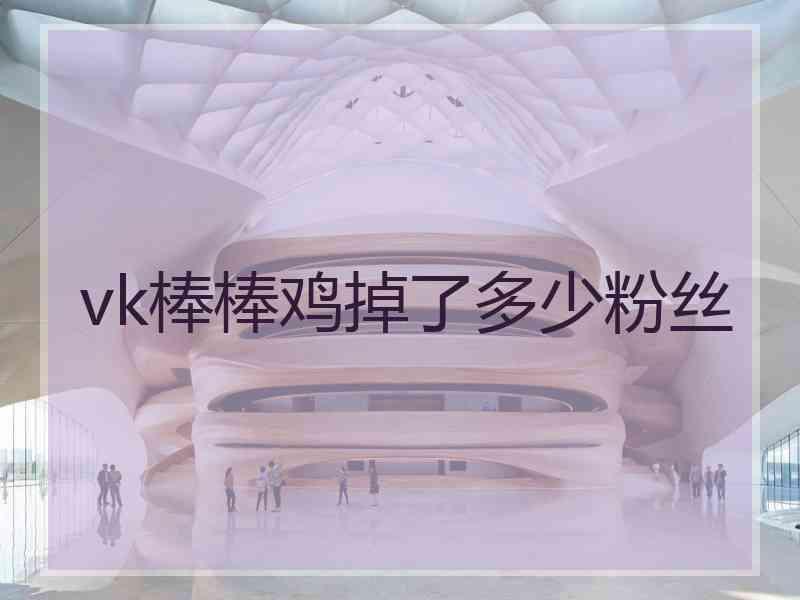 vk棒棒鸡掉了多少粉丝