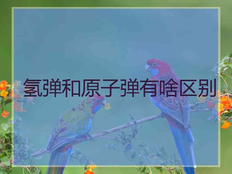 氢弹和原子弹有啥区别