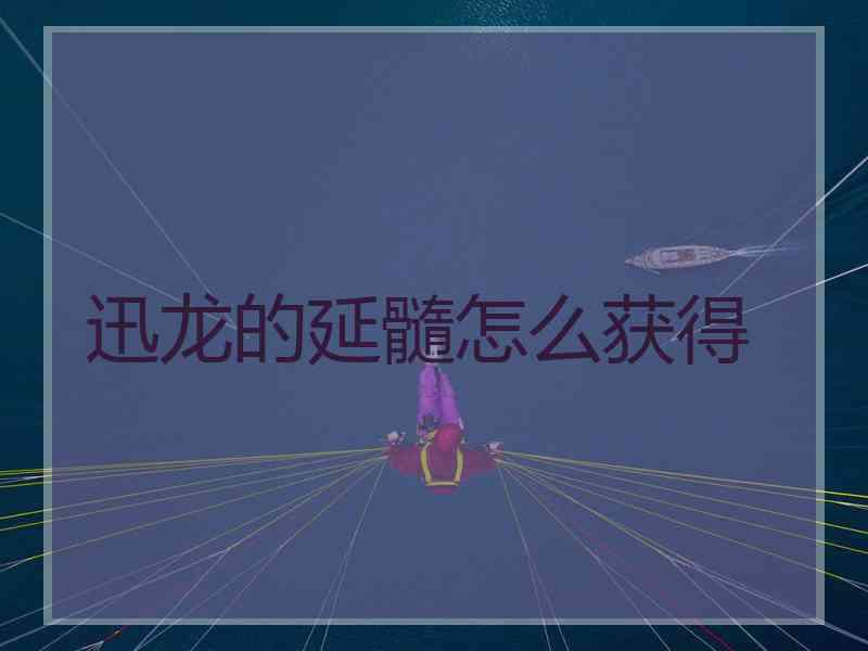 迅龙的延髓怎么获得