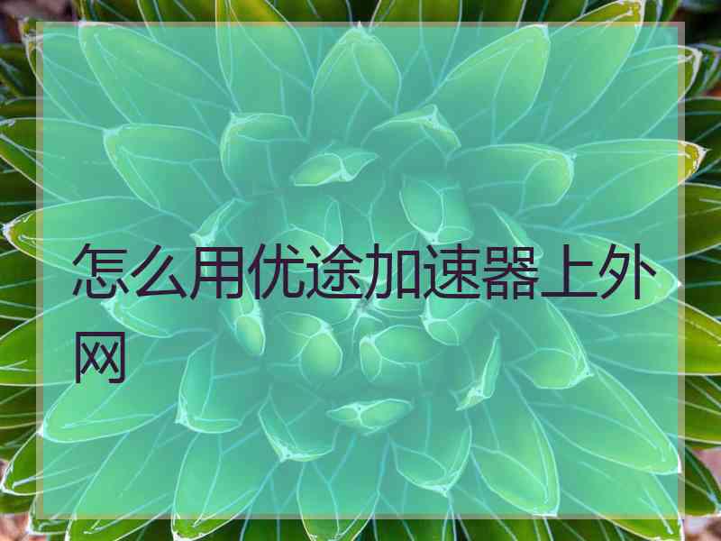 怎么用优途加速器上外网