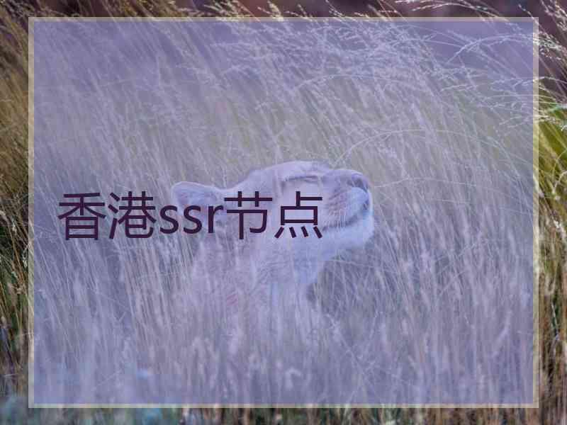 香港ssr节点