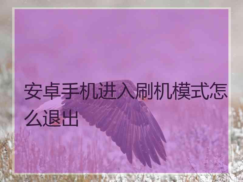安卓手机进入刷机模式怎么退出