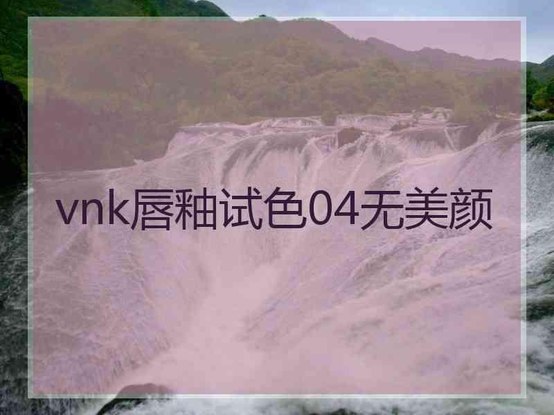 vnk唇釉试色04无美颜