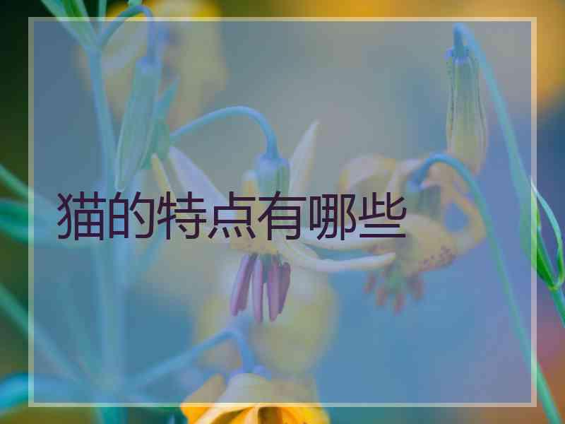 猫的特点有哪些