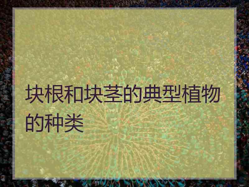 块根和块茎的典型植物的种类