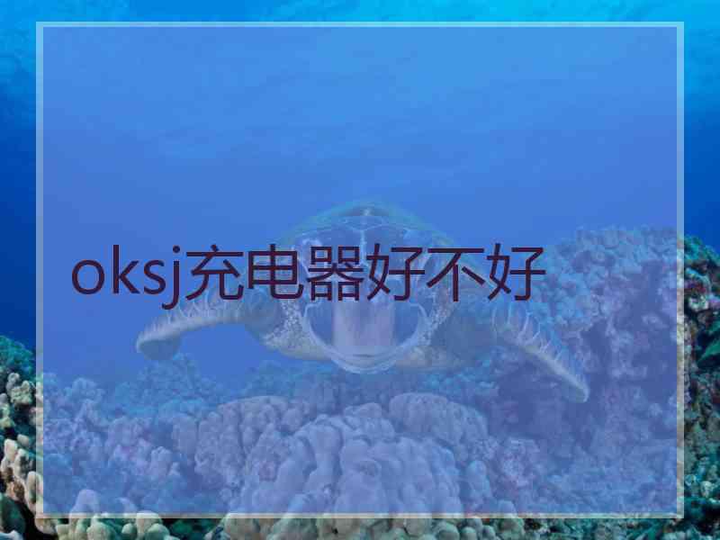 oksj充电器好不好