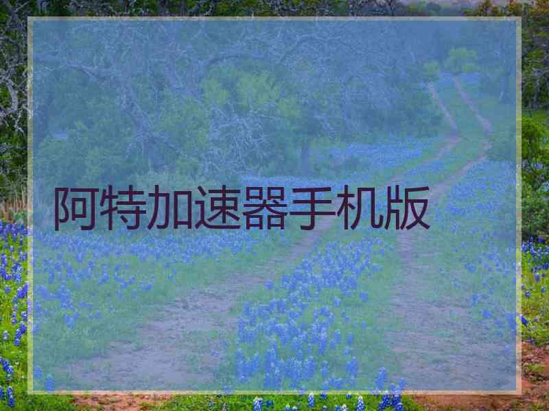 阿特加速器手机版