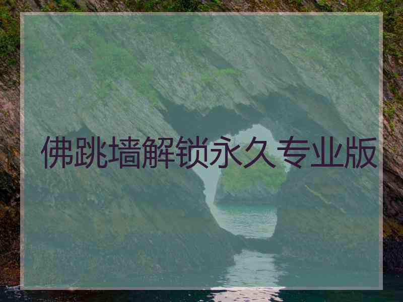 佛跳墙解锁永久专业版