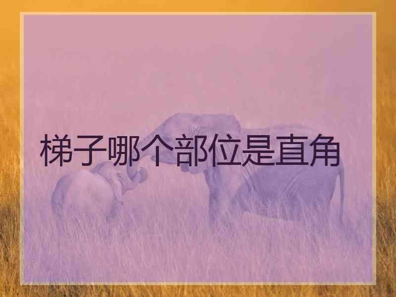梯子哪个部位是直角
