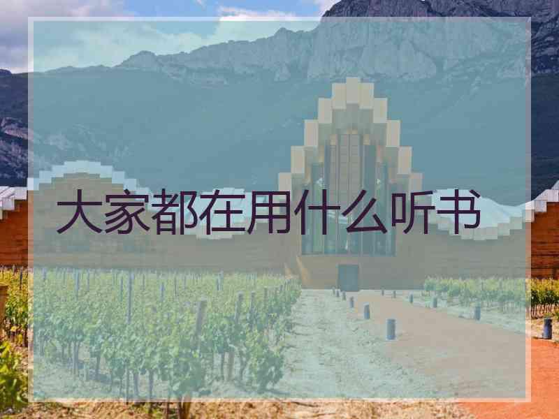 大家都在用什么听书