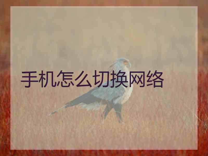 手机怎么切换网络