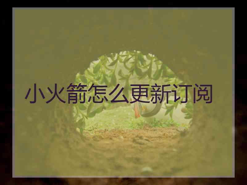 小火箭怎么更新订阅