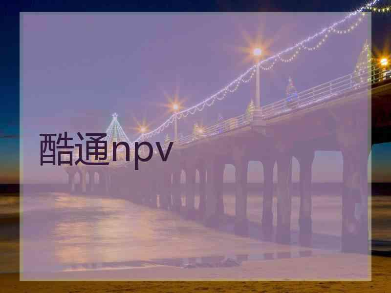 酷通npv