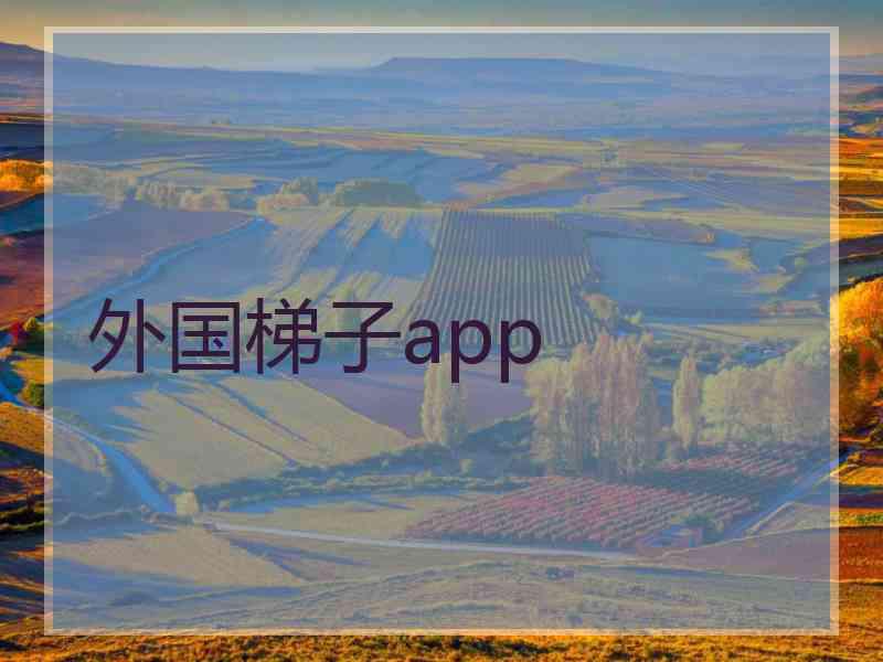 外国梯子app