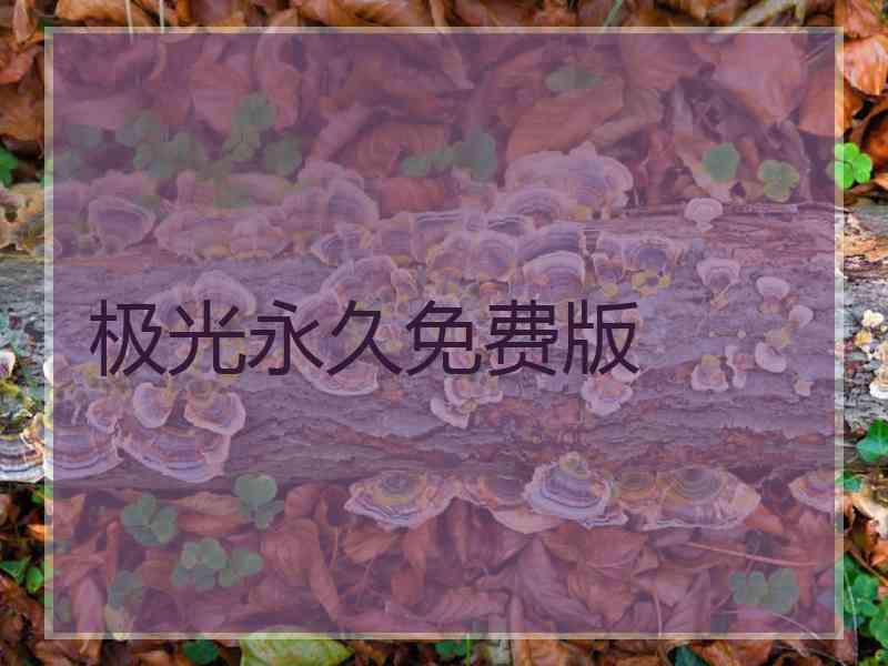 极光永久免费版