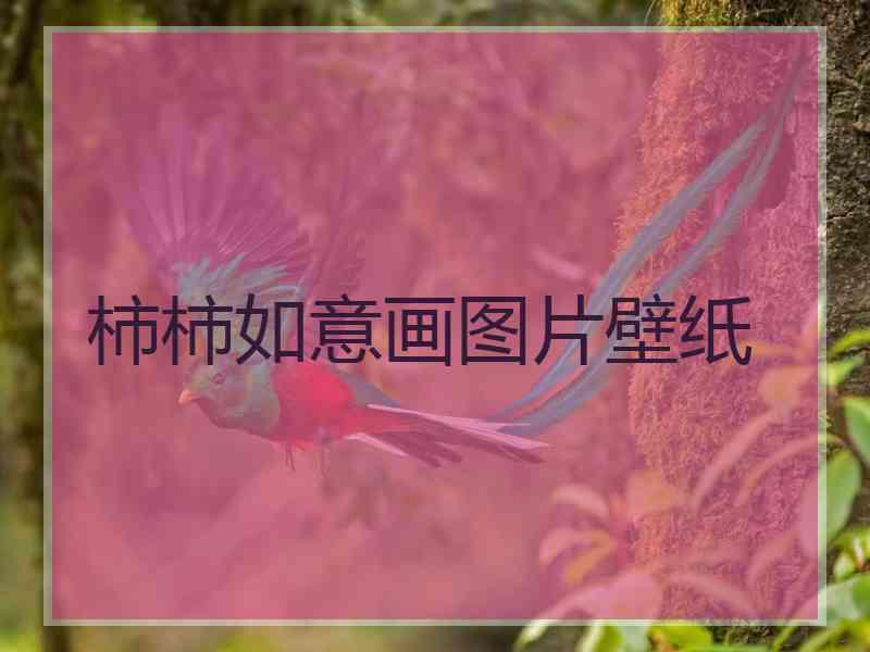 柿柿如意画图片壁纸