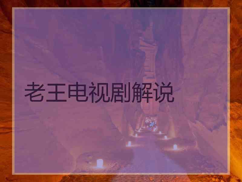 老王电视剧解说