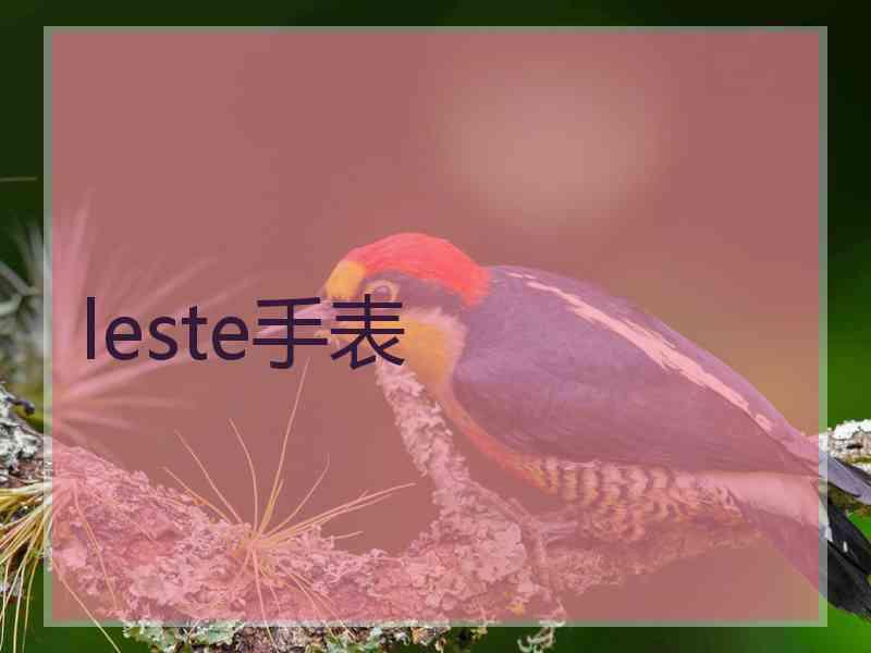 leste手表