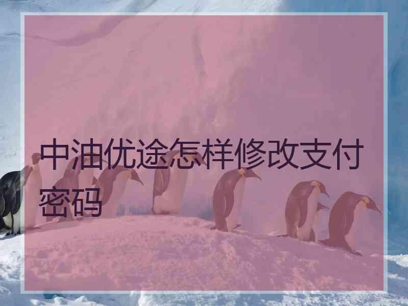 中油优途怎样修改支付密码