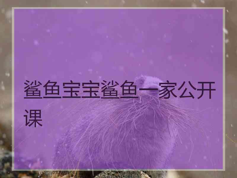 鲨鱼宝宝鲨鱼一家公开课