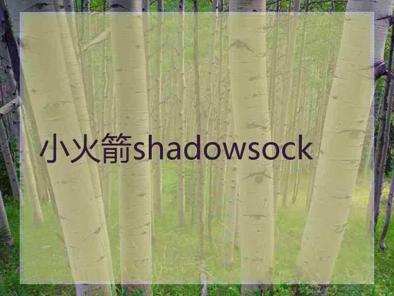 小火箭shadowsock