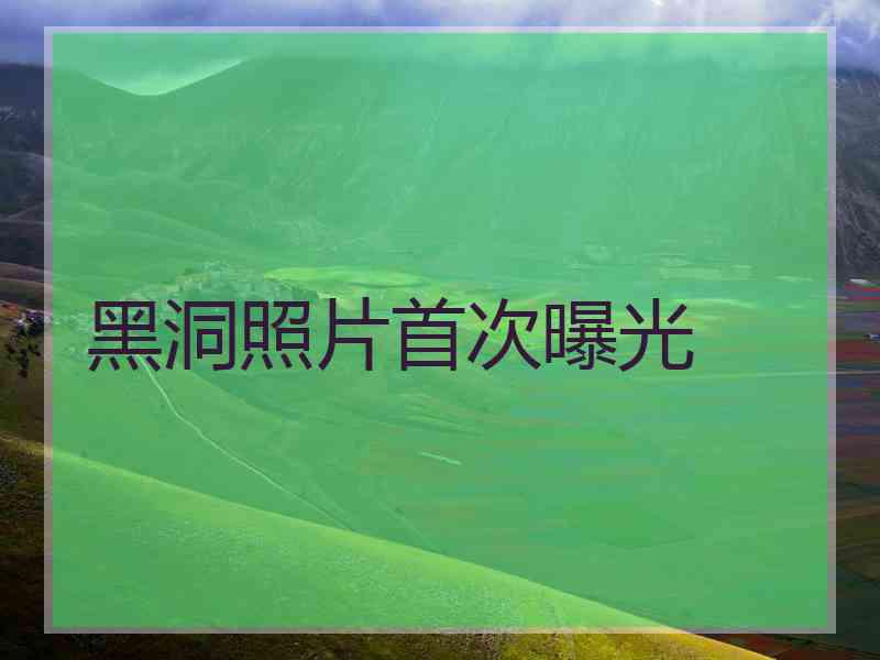 黑洞照片首次曝光
