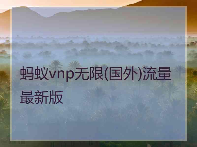 蚂蚁vnp无限(国外)流量最新版