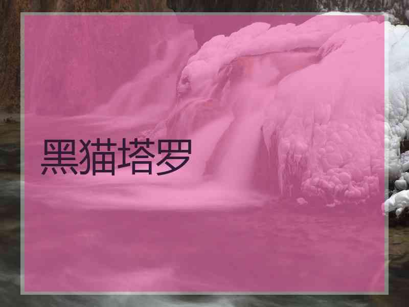 黑猫塔罗