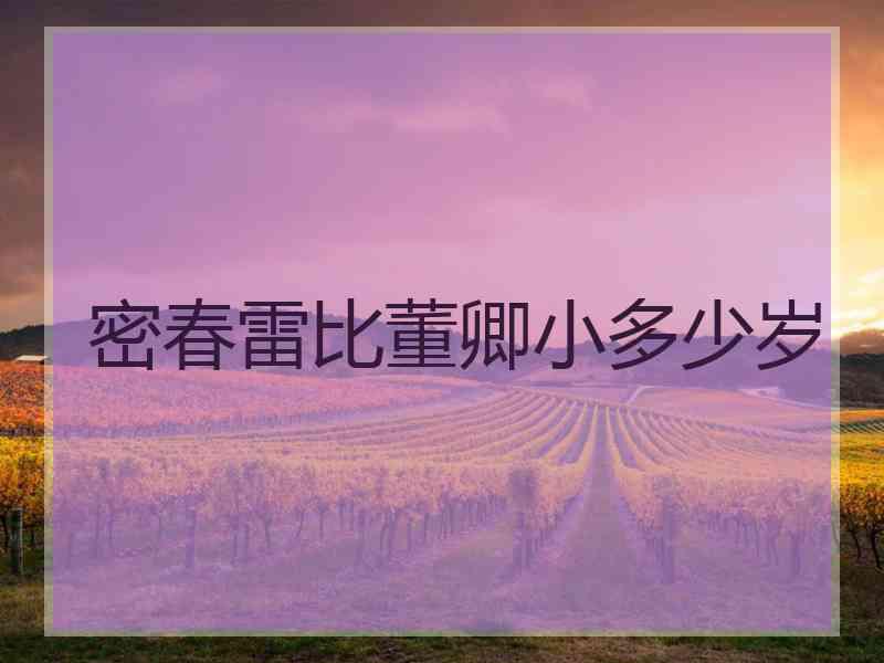 密春雷比董卿小多少岁