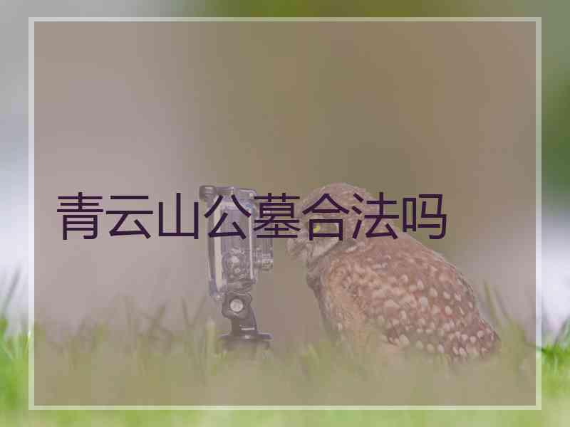 青云山公墓合法吗