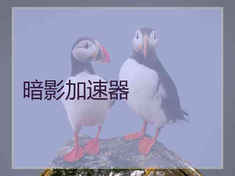暗影加速器